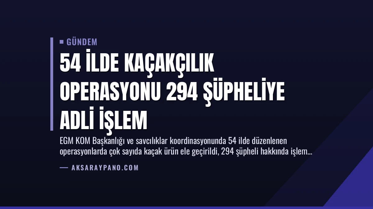 54 İlde Kaçakçılık Operasyonu 294 Şüpheliye Adli İşlem