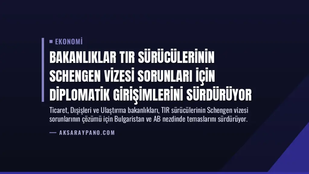 Bakanlıklar TIR Sürücülerinin Schengen Vizesi Sorunları İçin Diplomatik Girişimlerini Sürdürüyor
