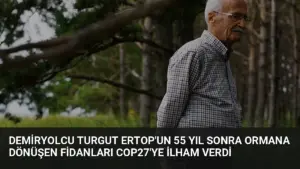 Demiryolcu Turgut Ertop’un 55 Yıl Sonra Ormana Dönüşen Fidanları COP27’ye İlham Verdi
