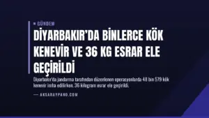 Diyarbakır’da Binlerce Kök Kenevir ve 36 Kg Esrar Ele Geçirildi