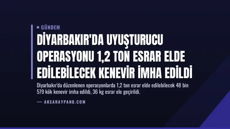 Diyarbakır’da Uyuşturucu Operasyonu 1,2 Ton Esrar Elde Edilebilecek Kenevir İmha Edildi