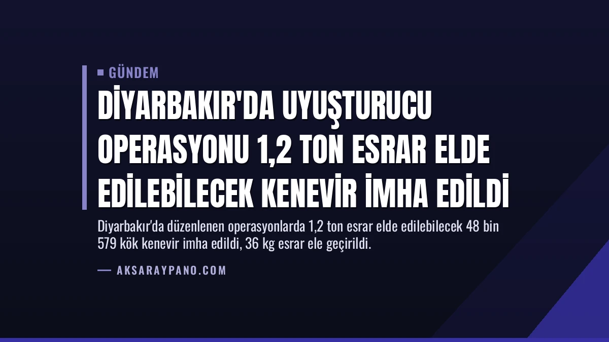 Diyarbakır’da Uyuşturucu Operasyonu 1,2 Ton Esrar Elde Edilebilecek Kenevir İmha Edildi