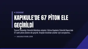 Kapıkule’de 67 Piton Ele Geçirildi