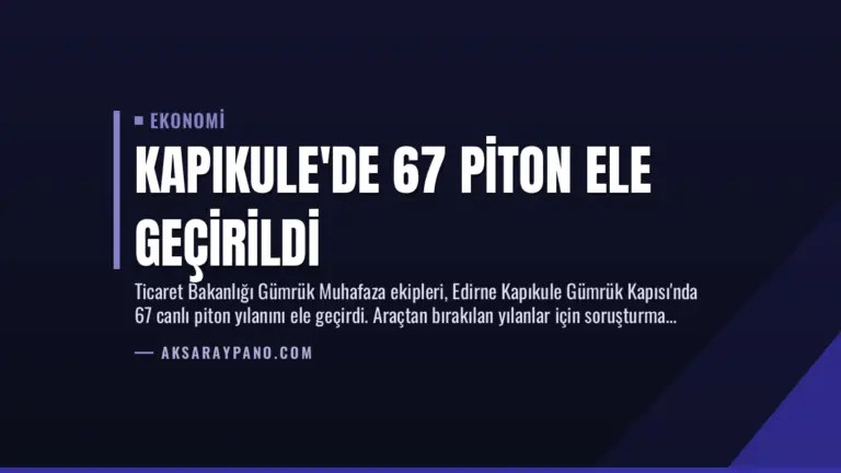 Kapıkule’de 67 Piton Ele Geçirildi