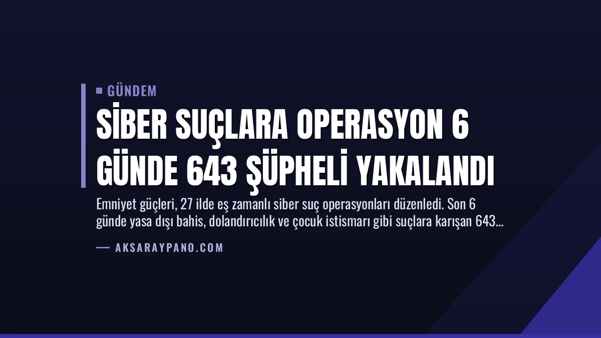 Siber Suçlara Operasyon 6 Günde 643 Şüpheli Yakalandı