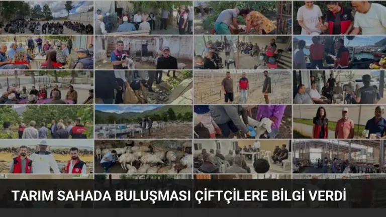 Tarım Sahada Buluşması Çiftçilere Bilgi Verdi