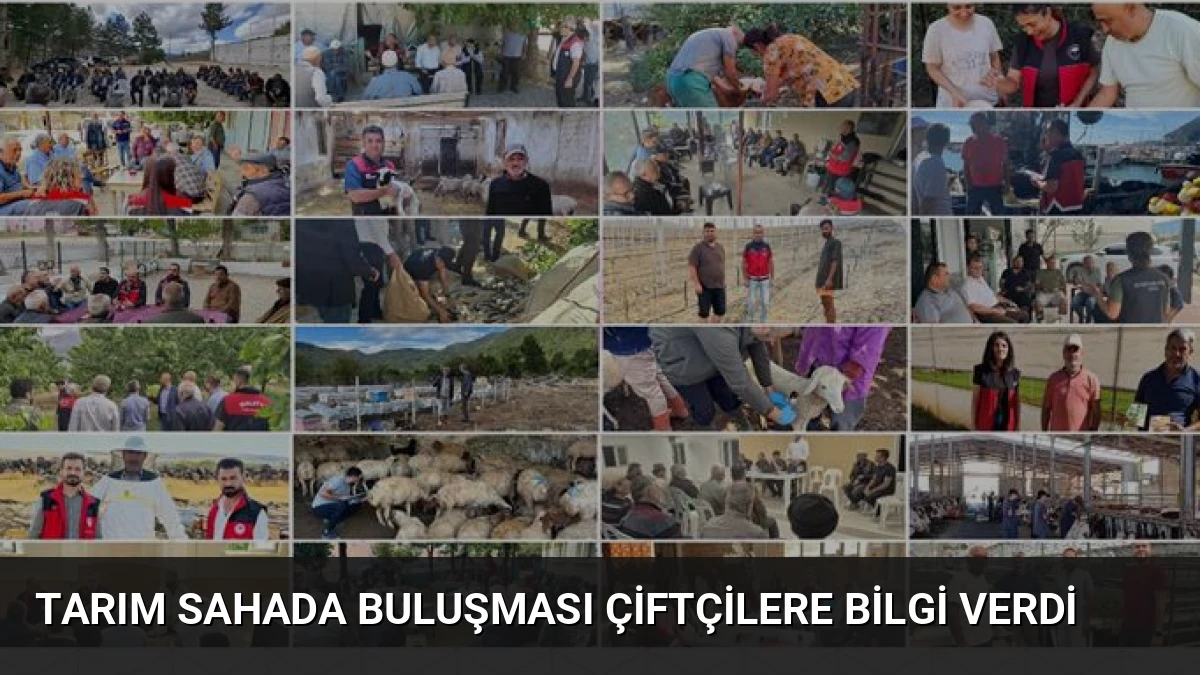 Tarım Sahada Buluşması Çiftçilere Bilgi Verdi