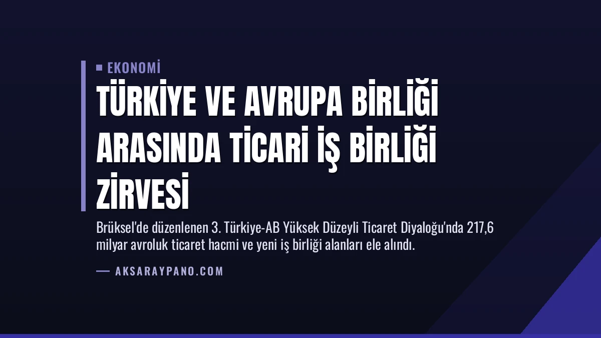 Türkiye ve Avrupa Birliği Arasında Ticari İş Birliği Zirvesi